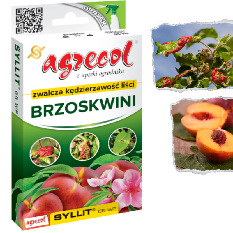 Agrecol Z Apteki Ogrodnika Oprysk na kędzierzawość liści brzoskwini SYLLIT 65 WP 5g
