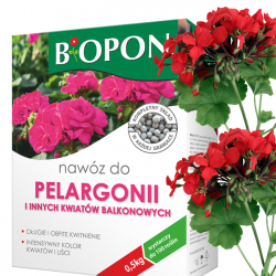 Nawóz do pelargonii, fuksji, begonii innych roślin balkonowych Biopon 0,5kg
